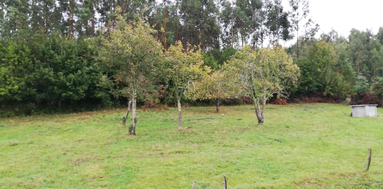 Casa Herbellas Cedeira Bagian luar foto